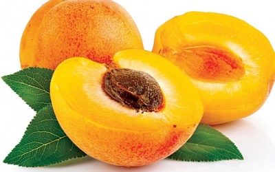 Bài thuốc từ ô mai mơ