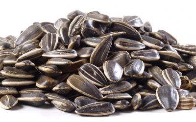 Hạt hướng dương: Tốt xương, khoẻ da