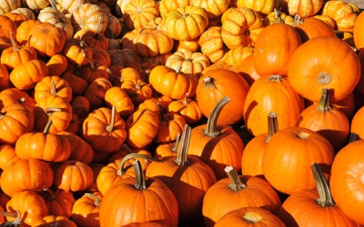 Lý do nên ăn rau củ quả màu vàng cam