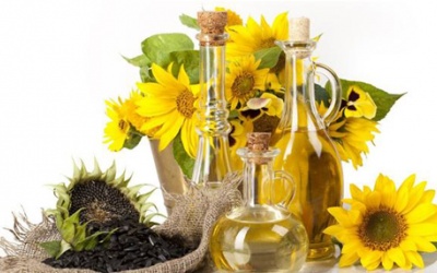 Dầu hướng dương giúp bảo vệ sức khoẻ tim mạch