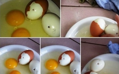 Thực hư về tin đồn trứng gà bị tiêm máu nhiễm HIV