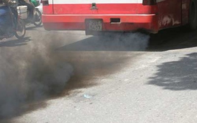 Khói xe làm giảm trí thông minh