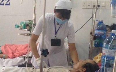 Ăn nhộng ve sầu, 5 người nhập viện