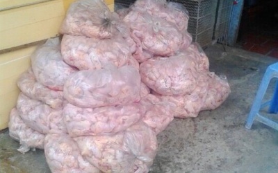 Đồng Tháp: Phát hiện hơn 1 tấn gà không rõ nguồn gốc