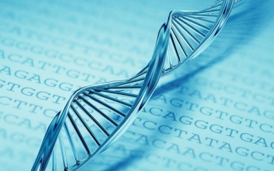 Phát hiện 'thủ phạm' gây loãng xương cho người Việt