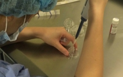 Từ ngày 15/3 cho phép mang thai hộ