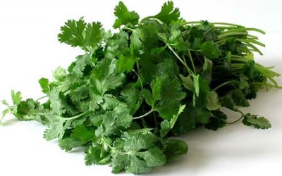 6 loại thảo mộc và gia vị giúp kéo dài tuổi thọ