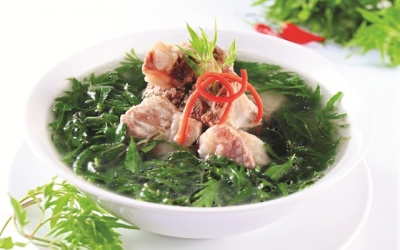 Món ngon lợi sữa với lá đinh lăng 