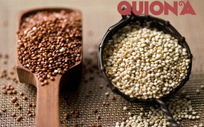 Infographic: Hạt quinoa - thực phẩm của tương lai