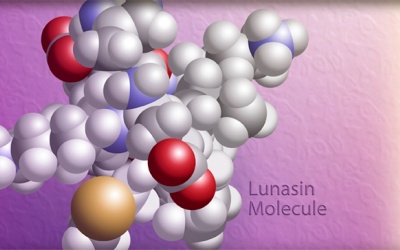 Lunasin & Những công dụng khác