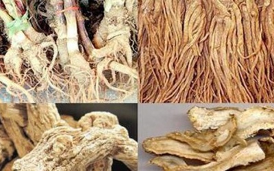 Bài thuốc chữa thiếu máu