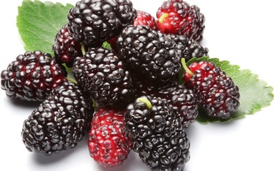 Bật mí cách ăn dâu tằm giúp bạn vừa khoẻ vừa đẹp