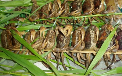 4 cách ăn cua đồng có hại cho sức khoẻ