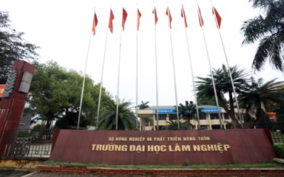 ĐH Lâm nghiệp: Cấm phát ngôn về cây xanh là lỗi... đánh văn bản