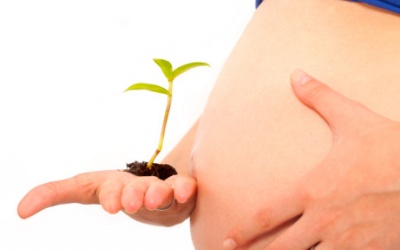 Thời điểm có bầu thích hợp sau 2 lần thai lưu?