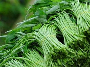 Cách nhận biết các loại rau xanh ngậm thuốc kích thích tăng trưởng