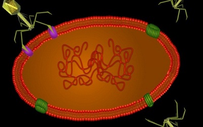 Đáy biển ẩn chứa virus ngoài hành tinh?