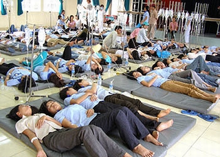 WHO: 2 triệu người chết mỗi năm do thực phẩm bẩn