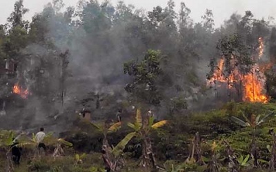 Hóa vàng ngày Thanh Minh, cháy cả ngàn mét vuông vườn đồi