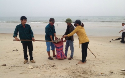 8 tấn dầu tràn vào bờ biển Quảng Trị