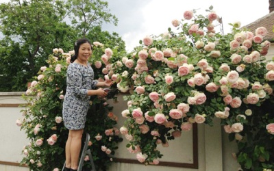 Khu vườn đẹp như mơ của người phụ nữ Huế ở Hungary