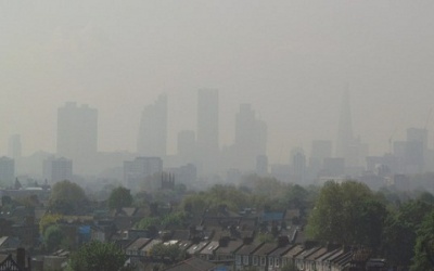 Thai nhi tổn thương não vì ô nhiễm môi trường