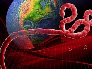 Nhiều dịch bệnh trên thế giới đang có diễn biến phức tạp