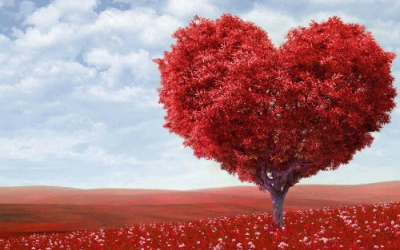 10 sự thật thú vị về trái tim