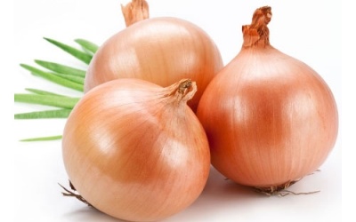 Hành tây Đà Lạt ế hàng nghìn tấn, giá chỉ còn 1.000 đồng/kg