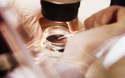 Tìm ra cách tái tạo cơ tim