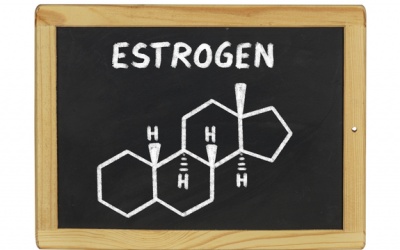 Estrogen không chỉ có trong cơ thể