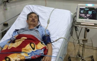 Ăn lá hoa chuông, 2 vợ chồng già nhập viện cấp cứu