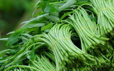 Những loại rau bẩn nhất vào mùa hè