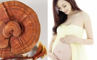 Bà bầu uống nấm linh chi được không?