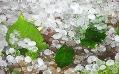 Dự báo thời tiết 22/4: Miền Trung và Tây Nguyên đề phòng mưa đá, tố lốc