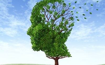 Bất ngờ với 5 nguyên nhân gây mất trí nhớ