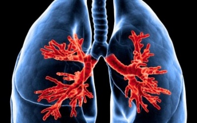 Phát hiện nguyên nhân mới gây bệnh hen suyễn