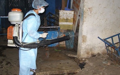 Phạt tiền để ngừa sốt xuất huyết