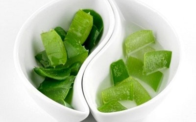 4 công dụng bất ngờ của lô hội