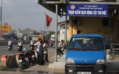 Hơn 1 tấn thịt gà thối bị bắt giữ