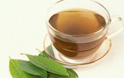 Uống nước vối không đúng cách, tai họa khôn lường