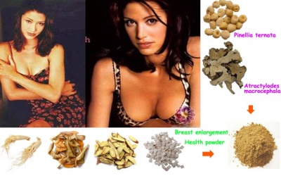 Bất ngờ với những loại bột làm nở ngực