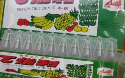 Hóa chất thúc chín trái cây gây hại cho gan, thận