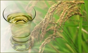 Lợi – hại của dầu cám gạo