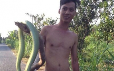 Rắn khủng dài 3m, nặng 3,5kg lủng lẳng trên cành bưởi