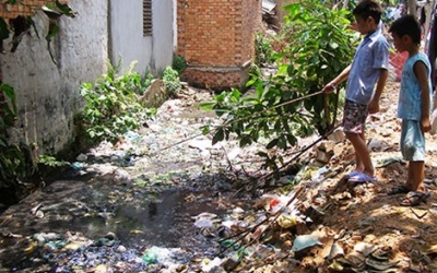 Khổ vì muỗi đầy nhà