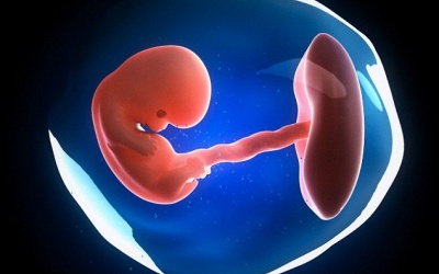 Từ trong bụng mẹ, em bé đã uống 'sữa'