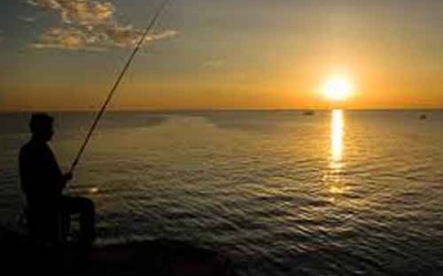 Câu mực đêm, ngư dân bị thuyền đâm tử vong