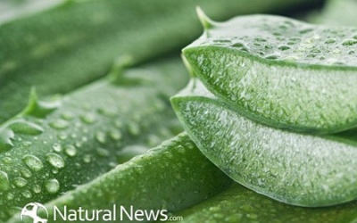 'Nhẹ gánh' nhiễm trùng thận nguy hiểm