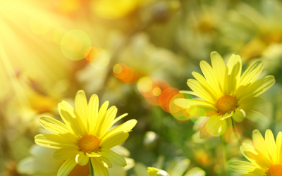 Năm 2015 sẽ có nhiều kỷ lục về nắng nóng